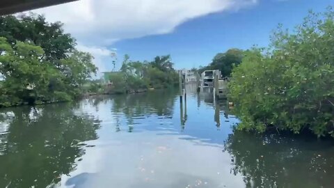 Independence Day trip to causeway in Bradenton FLorida. Big Red’s fist day out!