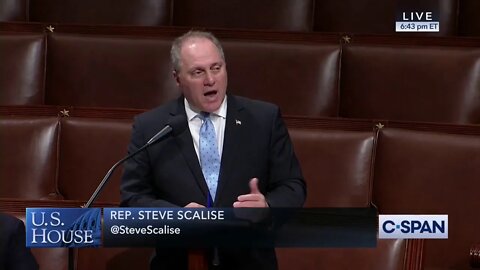 Steve Scalise presses Democrat Majority Leader on Unfair Impeachment Process