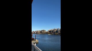 Roosevelt Island NYC