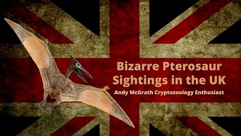 Bizarre Pterosaur Sightings in the UK : Andy McGrath Cryptozoology Enthusiast