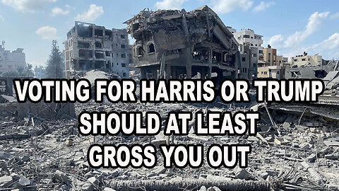 If You Vote For Harris Or Trump You Should At Least Have The Decency To Feel Gross About It