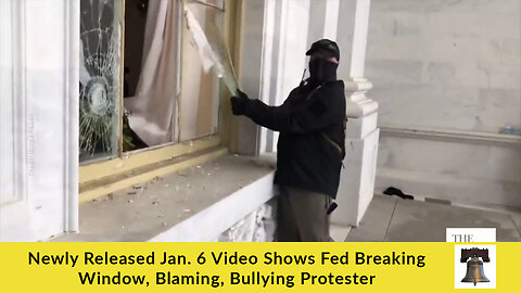 Newly Released Jan. 6 Video Shows Fed Breaking Window, Blaming, Bullying Protester