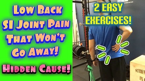 Low Back/SI Joint Pain That Won’t Go Away! *Hidden Cause* 2 Easy Exercises! | Dr Wil & Dr K