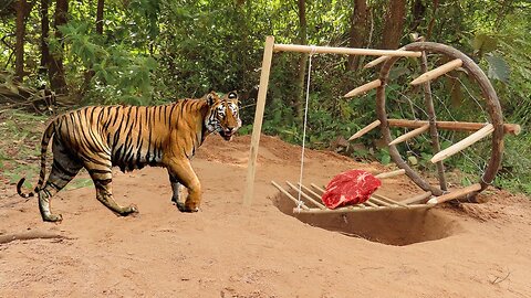 The First Creative Method Tiger Trap Using Deep Hole And Wood Working100%