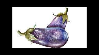 Como pintar Berinjela🍆 P/1- Dani pintura em tecido 👩‍🎨