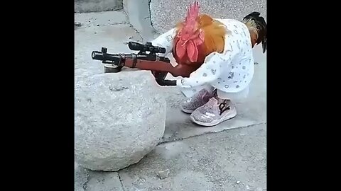 NARCO THE HITMAN ROOSTER !!! (LMFAO LOL)