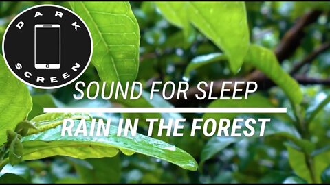 Sound for sleep Rain in the Forest Dark Screen 3 hours