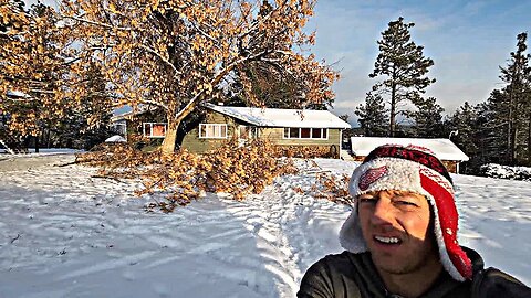 My Poor Trees Can't Catch a Break! And The Dock Froze...