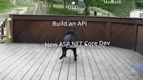 You are a new developer in the ASP .NET Core?