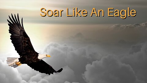 Soar Like An Eagle