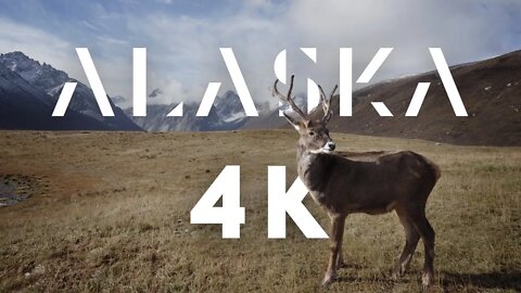 Alaska 4K Ultra HD | Denali 4K | Alaska 4K Video Ultra HD | Anchorage 4K | Seward Alaska