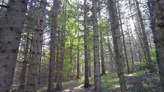 Hiking the Trails at Bonshaw Hills PEI