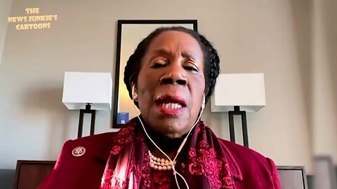 Democrat Sheila Jackson Lee: "It is very well documented that words nowadays can actually break your bones."