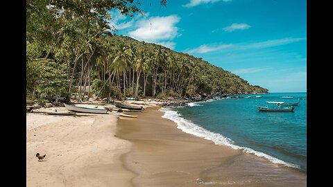 Dominican Beach with Waves Rolling - Natural Background With Ocean Sounds