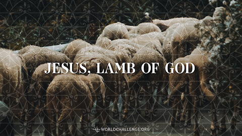 Jesus, Lamb of God - David Wilkerson - April 29, 2014