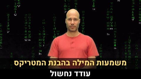 משמעות המילה בהבנת המטריקס | עודד נחשול