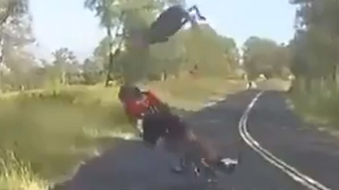 Flying Kangaroo Dropkicks the SH!T Out of a Cyclist During Leisurely Stroll