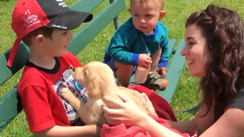 Toddler So Surprised By New Puppy He Falls Off Bench