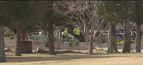 Landscapers busy with clean up after weekend windstorm