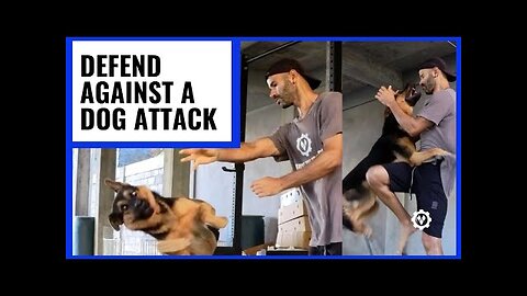 How to Defend Against Dog Attack