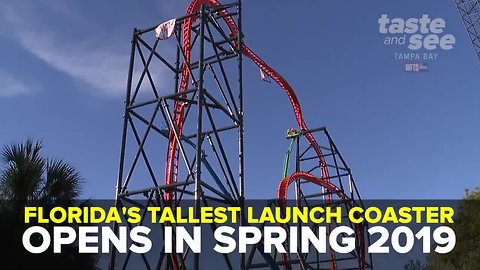 Florida's tallest launch coaster set to open at Busch Gardens in Spring 2019 | Taste and See Tampa Bay