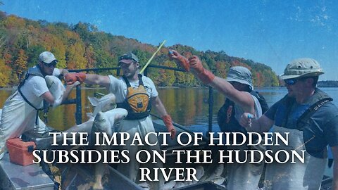 RFK Jr. Helped Save The Hudson River By Fighting Invisible Subsidies