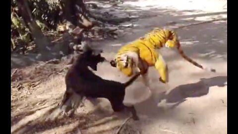 Fake Tiger Prank Dog VERY FUNNY - Try to Not Laugh All Challenge Fake Tiger Prank Dog