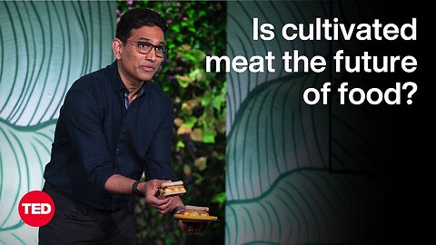 Is Cultivated Meat the Future of Food? | Uma Valeti | TED