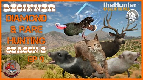 theHunter: Call of the Wild - Beginner DIAMOND & RARE Hunting Ep 39