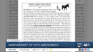 Nonprofit hosts Thirteenth Amendment anniversary celebration