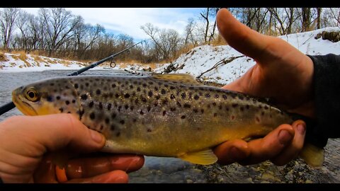 The Trout And Bugs Are Warming Up in Wisconsin