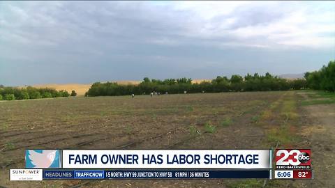 Kern County farm owner experiences labor shortage on his farms