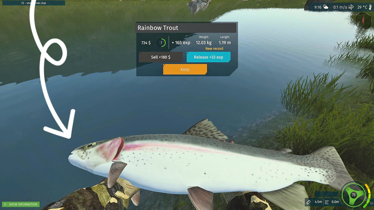 Ultimate fishing simulator, some catches on Betty Lake, for larger fish ...