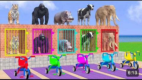 Cow| Elephant |Tiger |Gorilla |Hippo 3d Animal Long Slide Game Funny 3d Paint Animals Cage Game