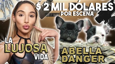 Abella Danger | La Lujosa Vida | ¿Cuánto gana por escena? 🤑 💰