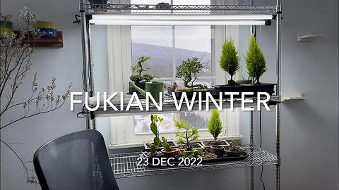 Fukian Winter