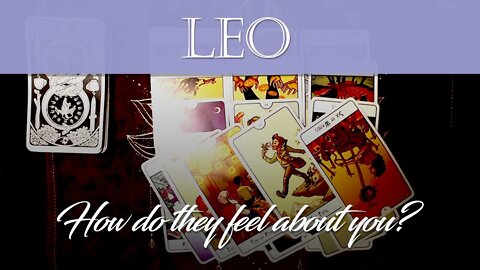 Leo💖 Stuck in a love triangle? How do they feel about you? November 25-December 1