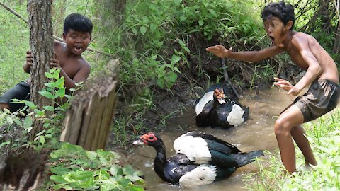 Primitive guys cooking Yummy DUCK recipe