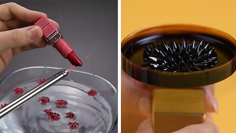 10 Mind Blowing Science Experiments You Can Do at Home_ Blossom