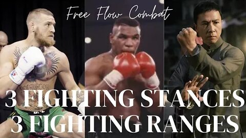 3 Fighting Stances vs 3 Fighting Ranges. #stance #range #blockstrike