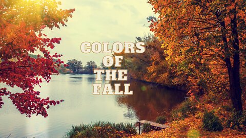 The Colors Of The Fall