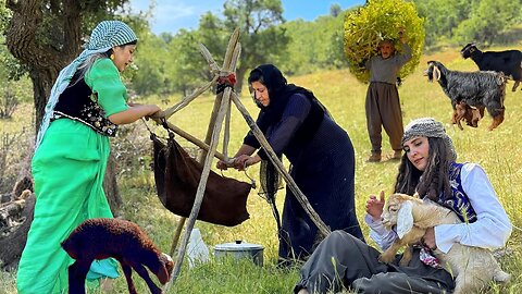 A Beautiful Day in Nomad Nature Kurdistan | Iran Nomadic Life | Iran village life