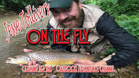 "On The Fly" Watauga River Rainbows