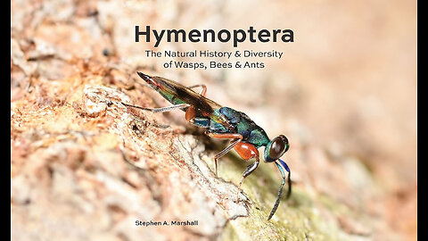 Hymenoptera: The Natural History and Diversity of Wasps, Bees and Ants