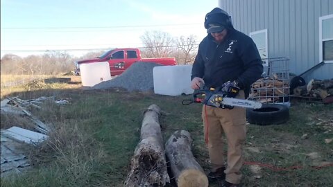 Is electric better then gas? Harvesting firewood with my electric chainsaws cutting firewood