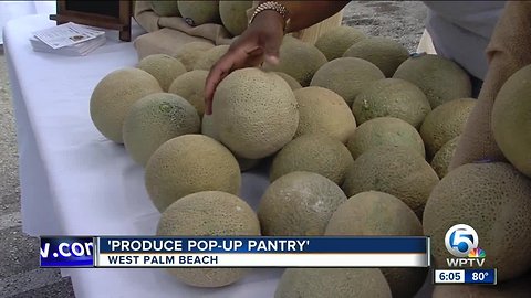 Produce pop-up pantry in West Palm Beach