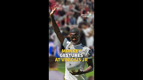 MONKEY GESTURES AT VINICIUS JR