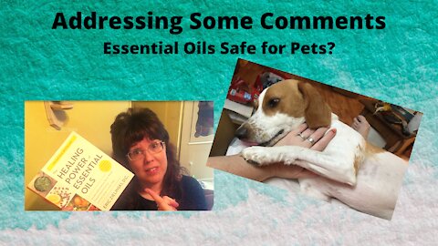 Essential Oils and Pets....Are They Safe?