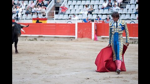 Funny videos Bullfighting Awesome bullfighting festival funny crazy bull fails