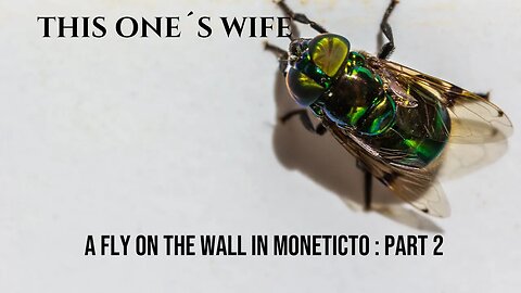 The Fly on the Wall In Montecito : Part 2 (Meghan Markle)